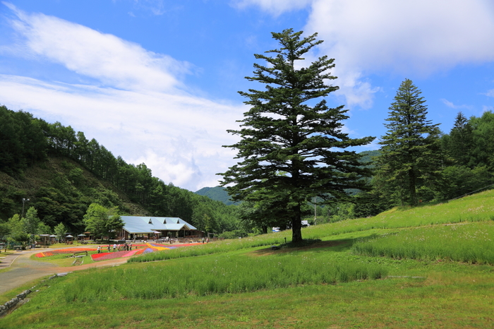 阿智村(あちむら)は、長野県の南部、岐阜県との県境にある下伊那郡の西部にあります。山間地にあり、大小の河川が流れる豊かな自然に恵まれた村です。東京から車で約4時間半、名古屋から車で約2時間と、泊りがけでのんびりと自然を満喫するには最適の場所です。