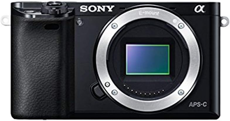 SONY α6000