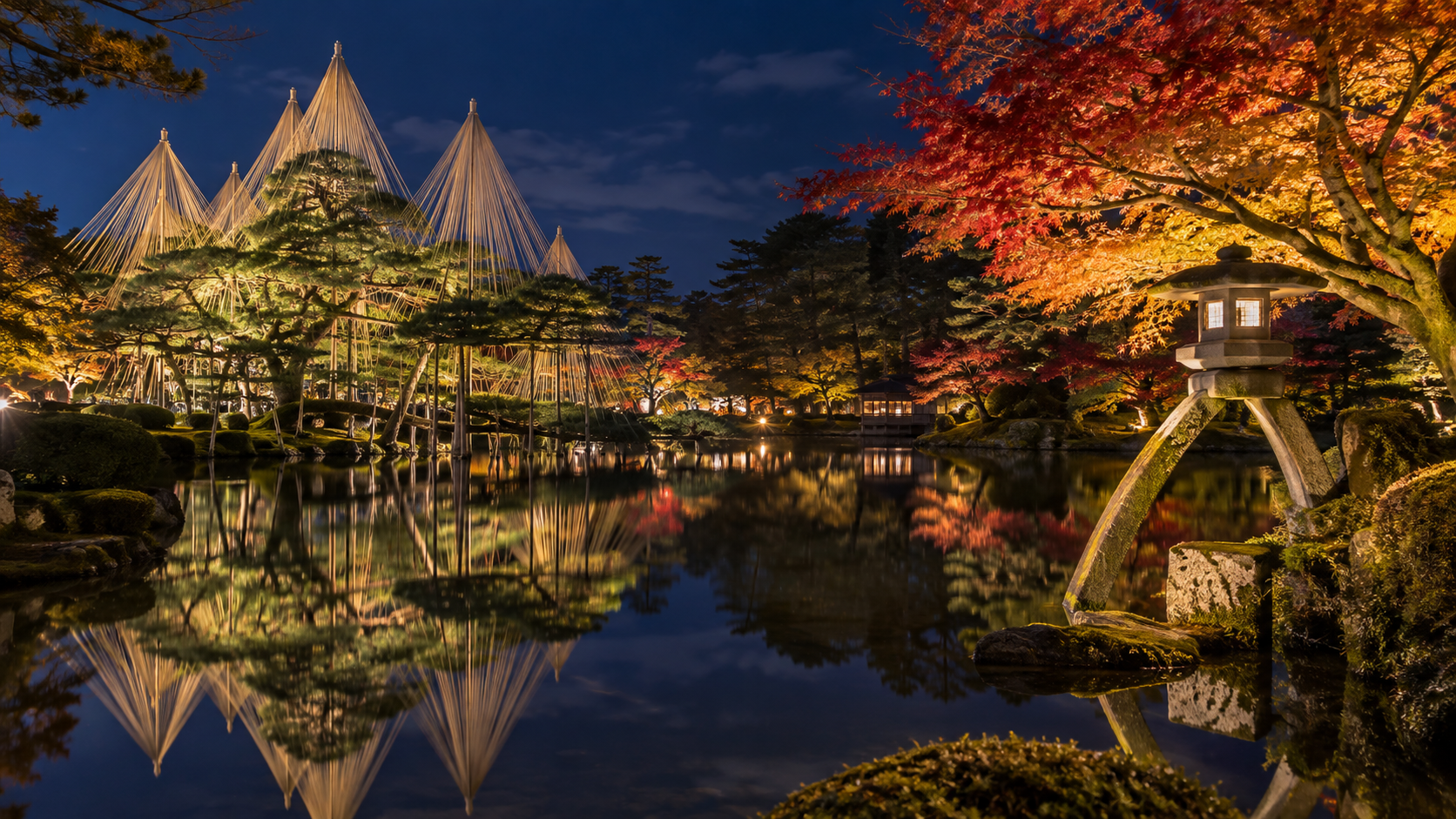 兼六園の紅葉と雪吊りを照らす秋の夜間ライトアップ